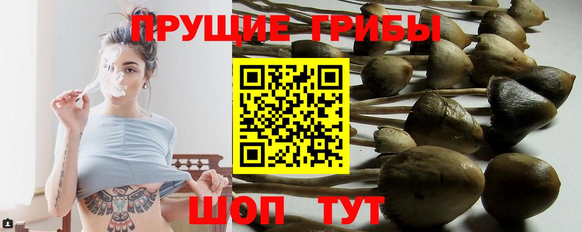 Краснодар  Галлюциногенные грибы мицелий  Галлюциногенные грибы Magic Shrooms  хочу   Вход с VPN 